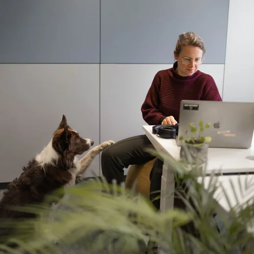 SIWA Mitarbeiterin mit einem Hund am laptop