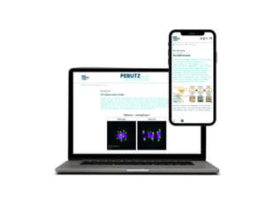 Screen Mock Up Max Perutz Labs