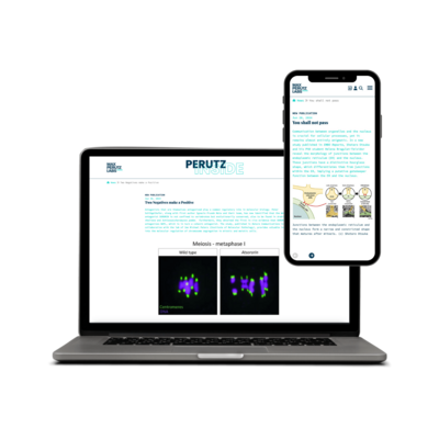 Screen Mock Up Max Perutz Labs
