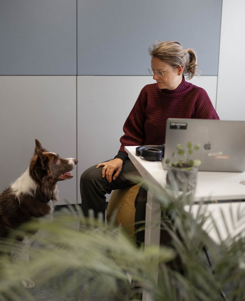 SIWA Mitarbeiterin Webdesign mit Office Dog