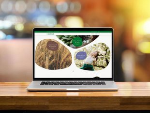 Multikraft Mockup