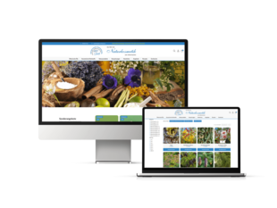 Screen Mock up vom Art of Beauty Onlineshop