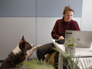 SIWA UI/UX Expertin